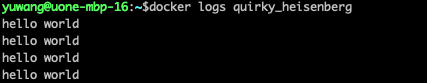 ../../../_images/docker-run-whileloop-logs.png