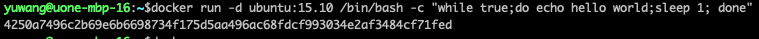 ../../../_images/docker-run-whileloop.png